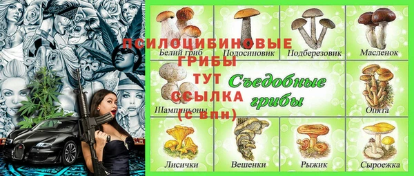 spice Вязьма