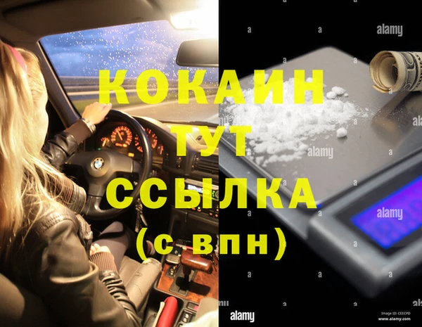 ALPHA-PVP Вяземский