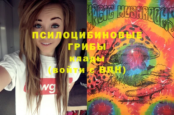 ALPHA-PVP Вяземский