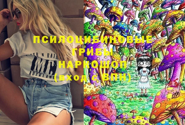 ALPHA-PVP Вяземский